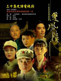 暗战风云 丁海峰版