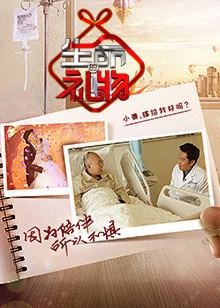 生命缘第二季高清视频在线观看芒果tv