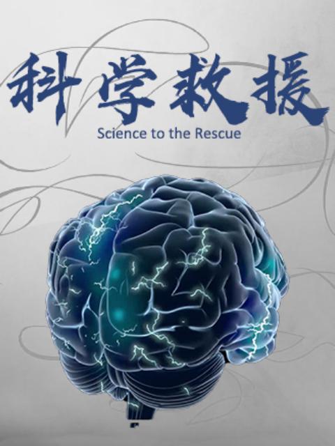 汪汪队终极救援-搜索结果-全网视频在线直播-芒果tv-湖南卫视全网视频