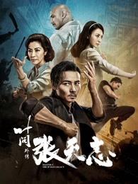 叶问外传:张天志