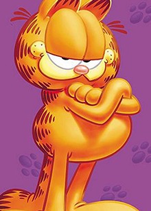 送会员,先到先得立即播放详细简介:身长着橙色皮毛的加菲猫是一只生长